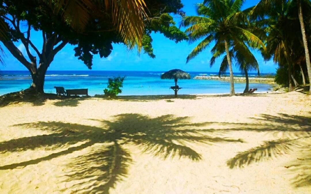 Le Ti'Paradise Anse Des Rochers Belle-Allée Kültér fotó