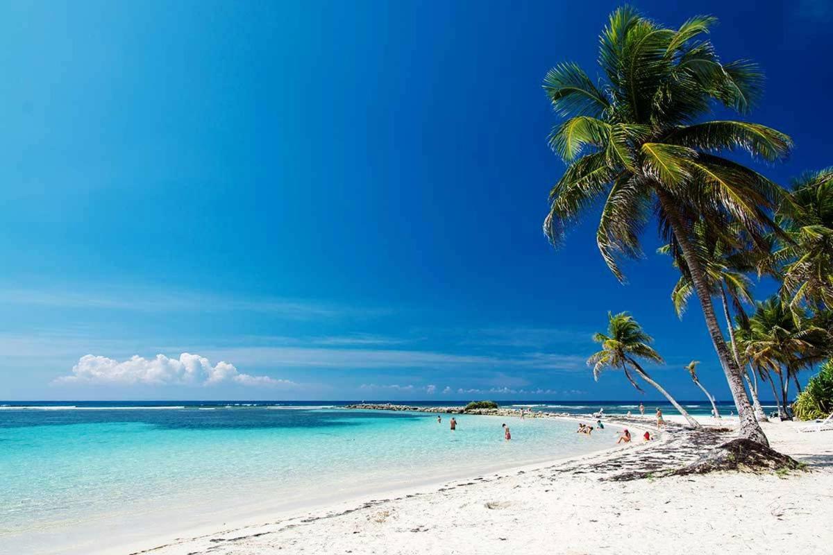Le Ti'Paradise Anse Des Rochers Belle-Allée Kültér fotó