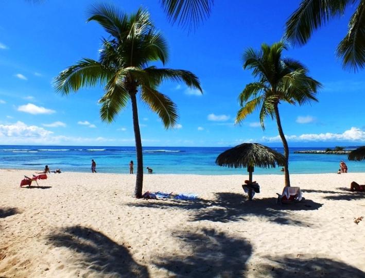 Le Ti'Paradise Anse Des Rochers Belle-Allée Kültér fotó