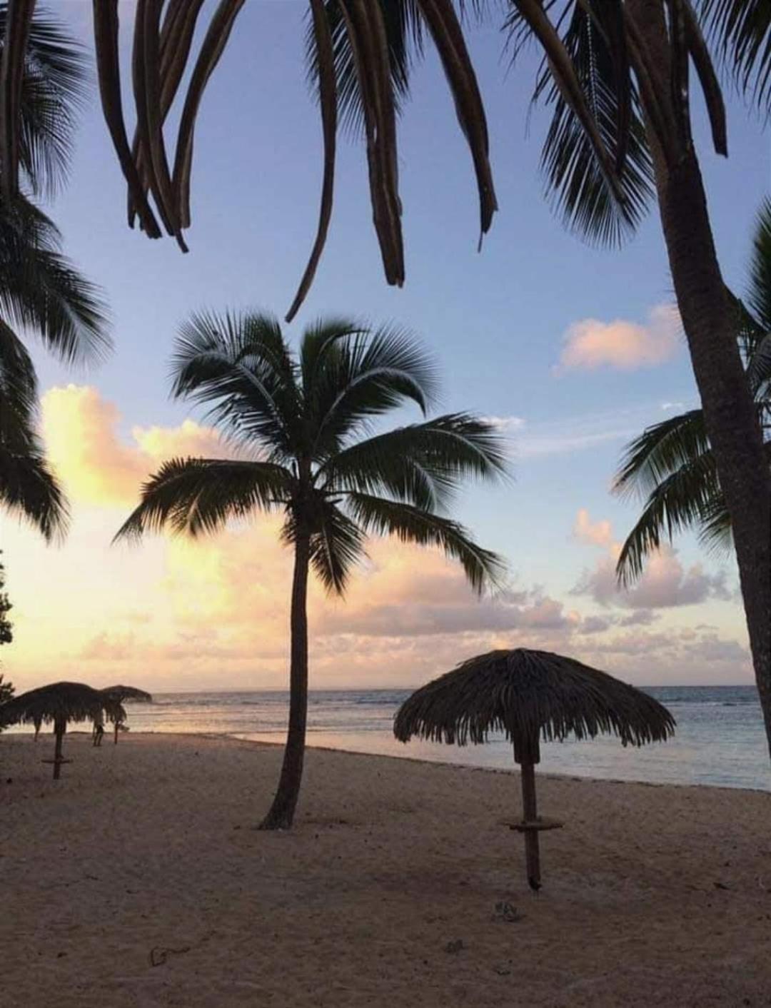 Le Ti'Paradise Anse Des Rochers Belle-Allée Kültér fotó