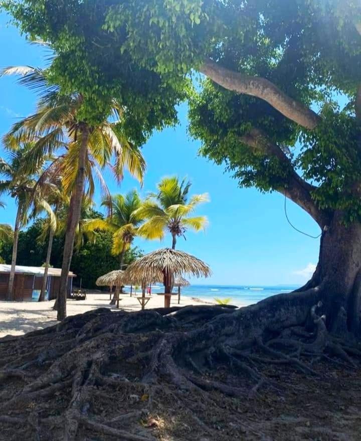 Le Ti'Paradise Anse Des Rochers Belle-Allée Kültér fotó